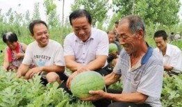 山东高密砍头吃瓜,背后真相令人震惊